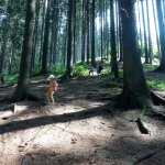 phoca_thumb_m_vp- 4. den  129 Fotogalerie